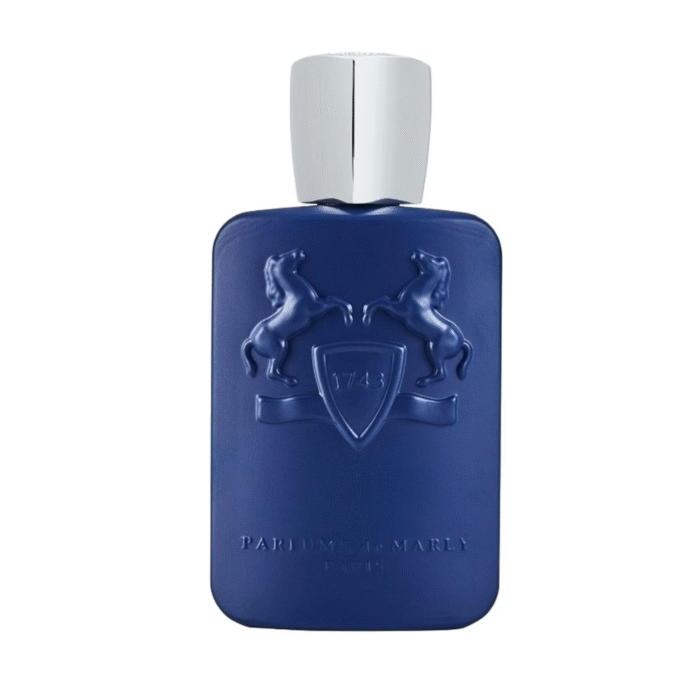 ⁦Percival for UniSex⁩ - الصورة ⁦1⁩