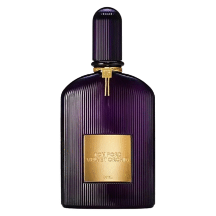Velvet Orchid