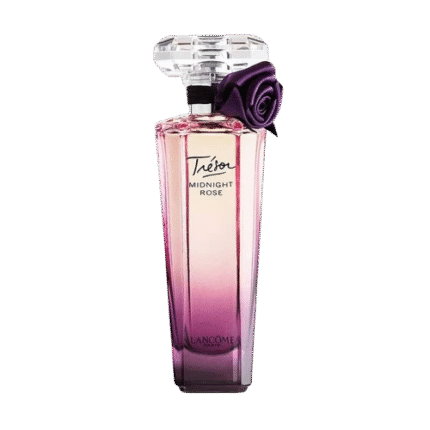 Midnight Rose