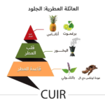 ⁦Cuir Perfume Box⁩ - الصورة ⁦5⁩
