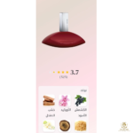 ⁦My Euphoria 30ML⁩ - الصورة ⁦2⁩