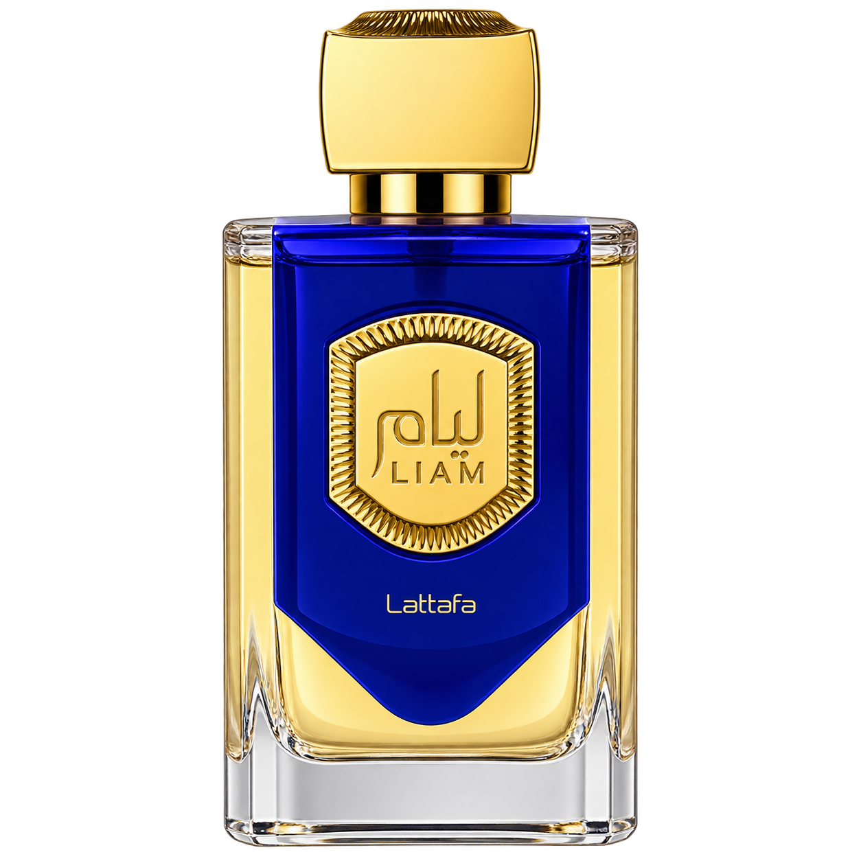 Image Sep 30, 2026, 01_20_29 PM Liam Blue Shine - الصورة 1