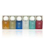 Mini Musk Collection 6 × 10ml