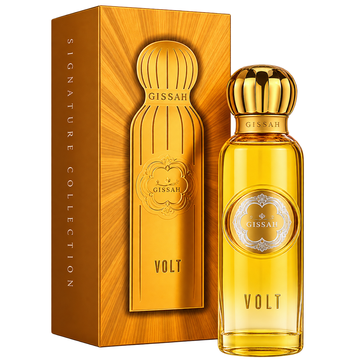 Image Oct 5, 2026, 02_25_25 PM Volt 200ML - الصورة 1